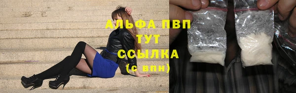 стафф Гвардейск